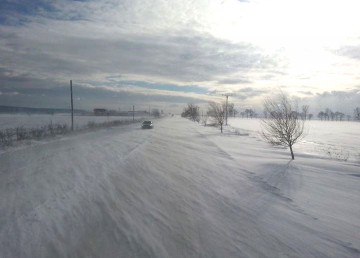 Termometrele din Siberia Orientală au indicat 38 de grade Celsius